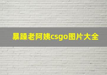 暴躁老阿姨csgo图片大全