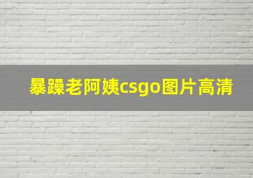 暴躁老阿姨csgo图片高清