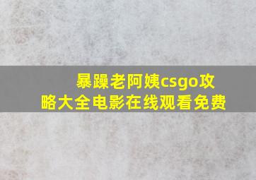 暴躁老阿姨csgo攻略大全电影在线观看免费