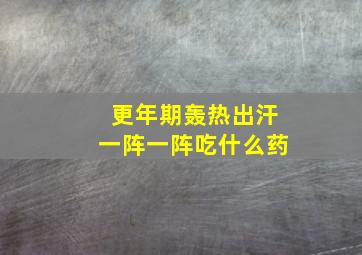 更年期轰热出汗一阵一阵吃什么药