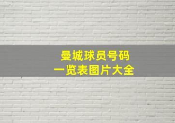 曼城球员号码一览表图片大全