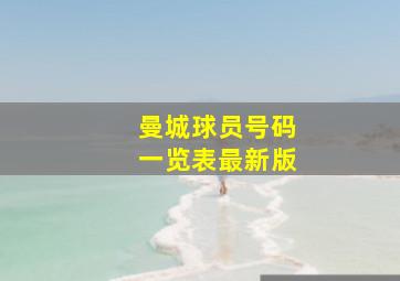 曼城球员号码一览表最新版