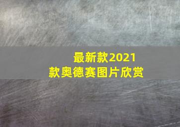 最新款2021款奥德赛图片欣赏