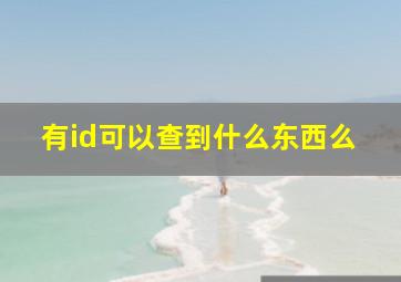 有id可以查到什么东西么