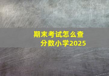 期末考试怎么查分数小学2025