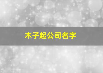 木子起公司名字