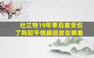 杜兰特19年季后赛受伤了吗知乎视频回放在哪看