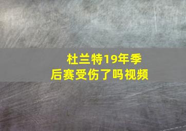 杜兰特19年季后赛受伤了吗视频