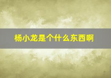 杨小龙是个什么东西啊