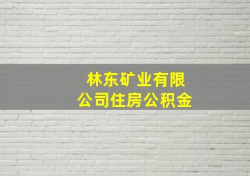 林东矿业有限公司住房公积金