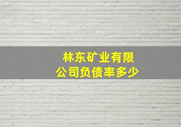 林东矿业有限公司负债率多少