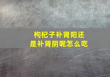 枸杞子补肾阳还是补肾阴呢怎么吃