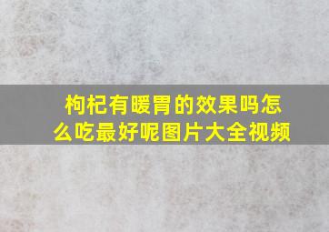 枸杞有暖胃的效果吗怎么吃最好呢图片大全视频