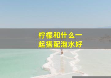 柠檬和什么一起搭配泡水好