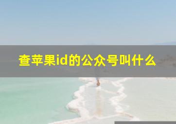 查苹果id的公众号叫什么