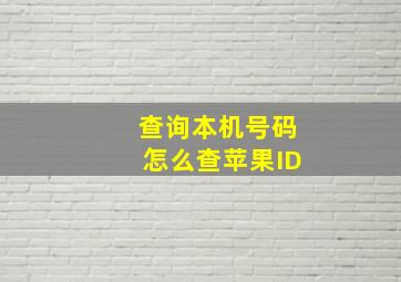 查询本机号码怎么查苹果ID