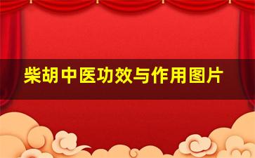 柴胡中医功效与作用图片