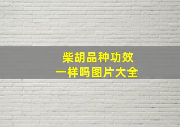 柴胡品种功效一样吗图片大全