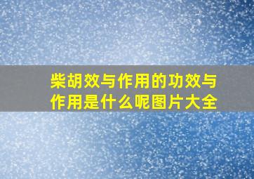 柴胡效与作用的功效与作用是什么呢图片大全