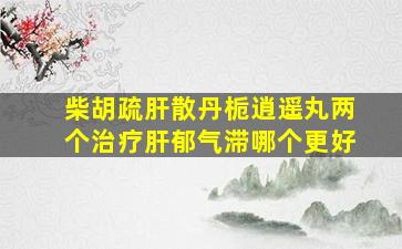 柴胡疏肝散丹栀逍遥丸两个治疗肝郁气滞哪个更好