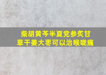 柴胡黄芩半夏党参炙甘草干姜大枣可以治喉咙痛