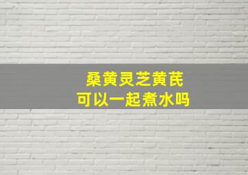 桑黄灵芝黄芪可以一起煮水吗