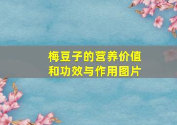 梅豆子的营养价值和功效与作用图片