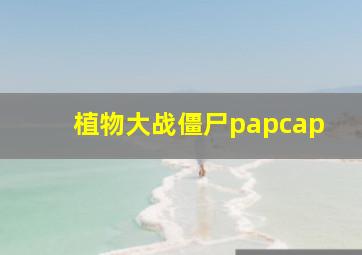 植物大战僵尸papcap