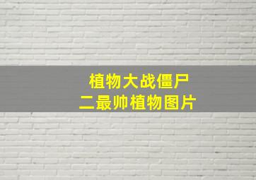 植物大战僵尸二最帅植物图片