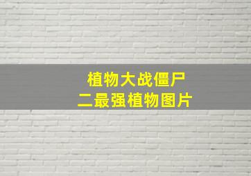 植物大战僵尸二最强植物图片