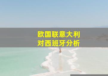 欧国联意大利对西班牙分析