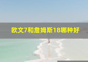 欧文7和詹姆斯18哪种好