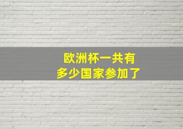 欧洲杯一共有多少国家参加了