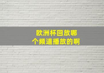 欧洲杯回放哪个频道播放的啊