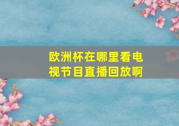 欧洲杯在哪里看电视节目直播回放啊