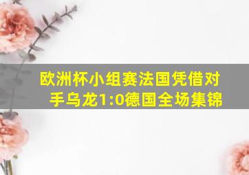 欧洲杯小组赛法国凭借对手乌龙1:0德国全场集锦