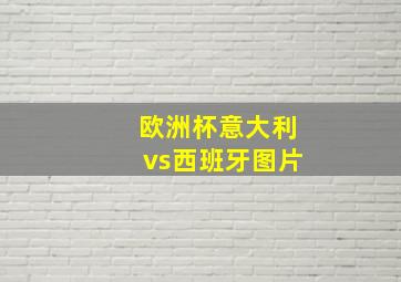 欧洲杯意大利vs西班牙图片