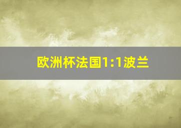 欧洲杯法国1:1波兰