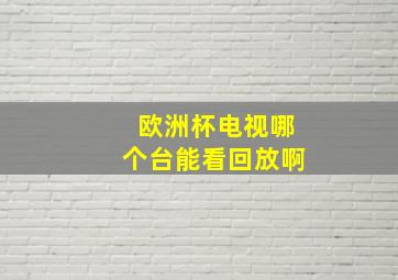 欧洲杯电视哪个台能看回放啊