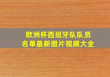 欧洲杯西班牙队队员名单最新图片视频大全