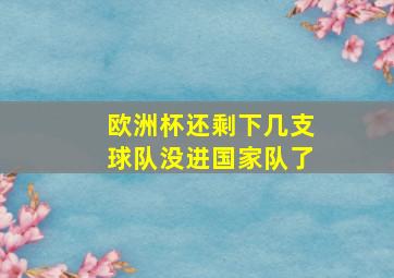 欧洲杯还剩下几支球队没进国家队了