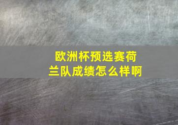 欧洲杯预选赛荷兰队成绩怎么样啊