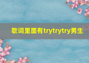 歌词里面有trytrytry男生