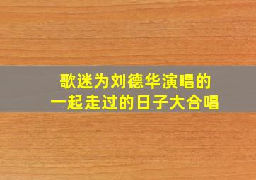 歌迷为刘德华演唱的一起走过的日子大合唱