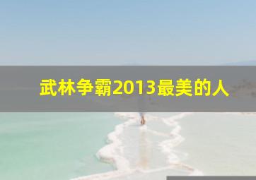 武林争霸2013最美的人