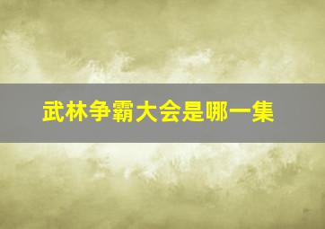 武林争霸大会是哪一集