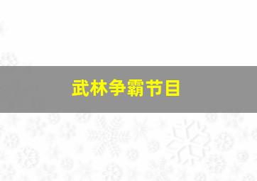 武林争霸节目