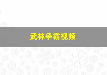 武林争霸视频