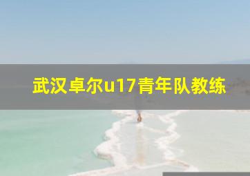 武汉卓尔u17青年队教练