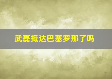 武磊抵达巴塞罗那了吗